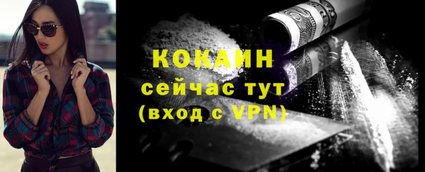 эйфоретик Вяземский