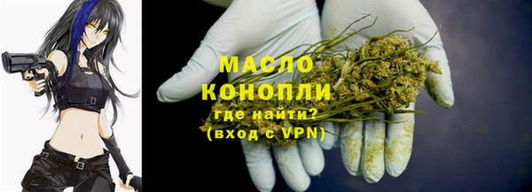 эйфоретик Вяземский