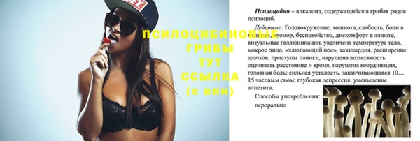 эйфоретик Вяземский