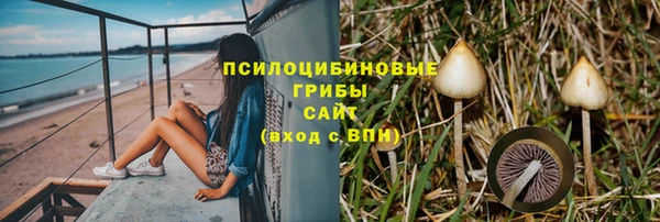 круглые Вязьма