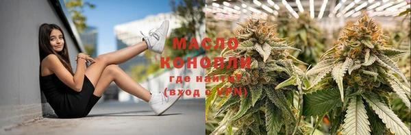 эйфоретик Вяземский