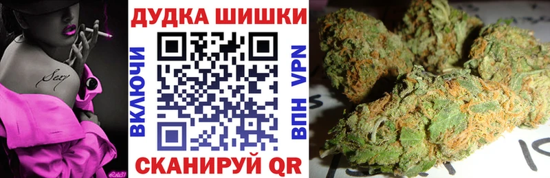 Конопля сатива Ленинск